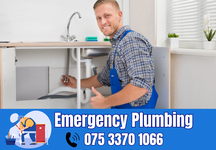  plumber Cuxton